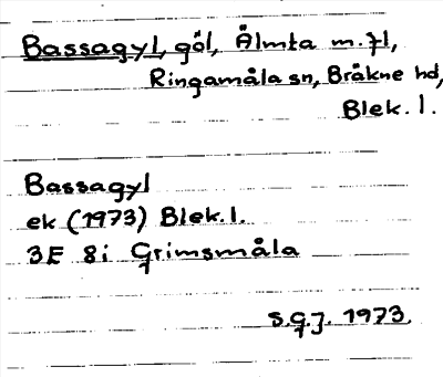 Bild på arkivkortet för arkivposten Bassagyl