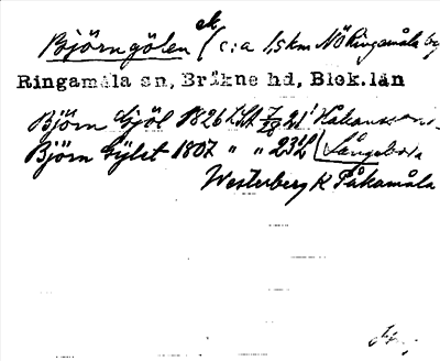 Bild på arkivkortet för arkivposten Björngölen