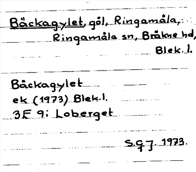 Bild på arkivkortet för arkivposten Bäckagylet