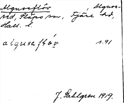 Bild på arkivkortet för arkivposten Alguseflöv