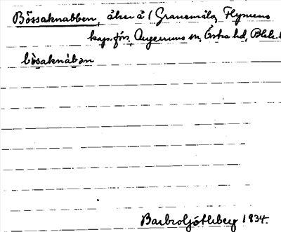 Bild på arkivkortet för arkivposten Bössaknabben