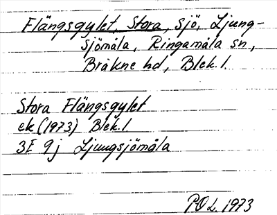 Bild på arkivkortet för arkivposten Flängsgylet, Stora