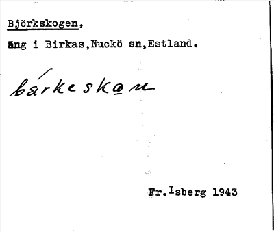 Bild på arkivkortet för arkivposten Björkskogen
