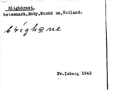 Bild på arkivkortet för arkivposten Blighörnet