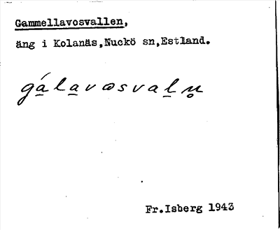 Bild på arkivkortet för arkivposten Gammellavosvallen