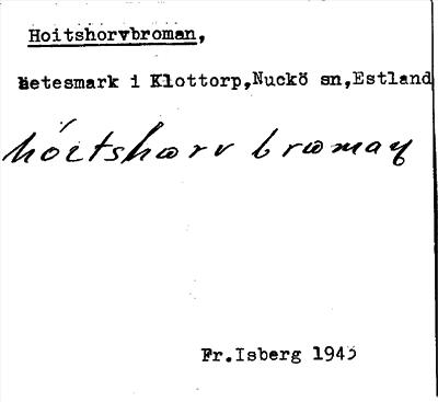 Bild på arkivkortet för arkivposten Hoitshorvbroman