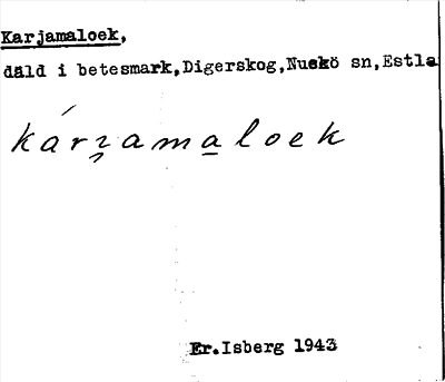 Bild på arkivkortet för arkivposten Karjamaloek