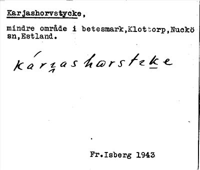 Bild på arkivkortet för arkivposten Karjashorvstycke