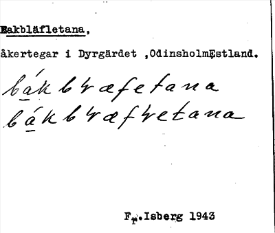 Bild på arkivkortet för arkivposten Bakbläfletana