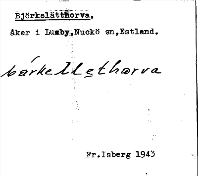 Bild på arkivkortet för arkivposten Björkslätthorva