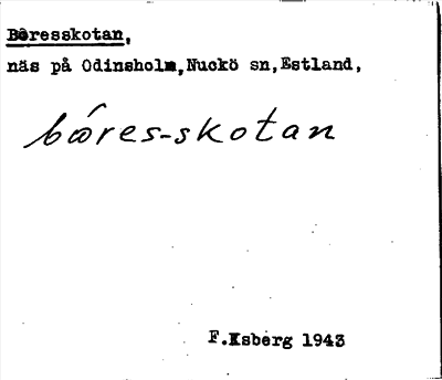 Bild på arkivkortet för arkivposten Boresskotan