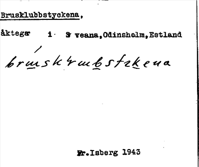 Bild på arkivkortet för arkivposten Brusklubbstyckena