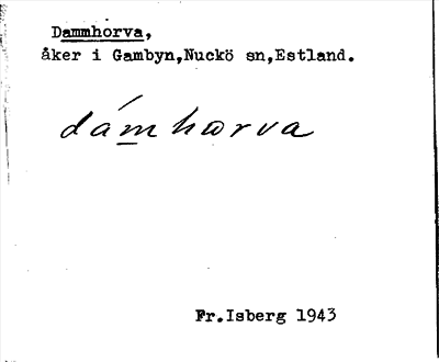 Bild på arkivkortet för arkivposten Dammhorva