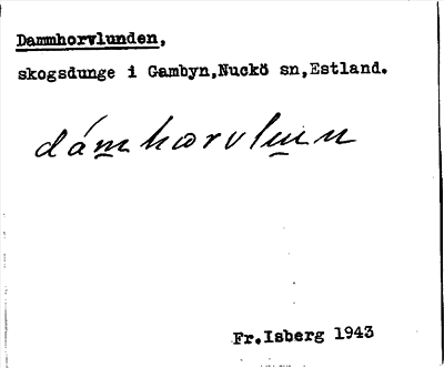 Bild på arkivkortet för arkivposten Dammhorvlunden
