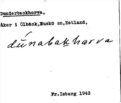 Bild på arkivkortet för arkivposten Dunderbackhorva