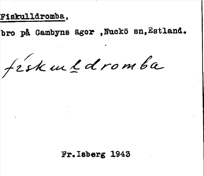 Bild på arkivkortet för arkivposten Fiskulldromba