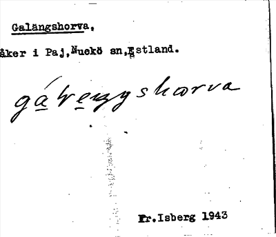 Bild på arkivkortet för arkivposten Galängshorva