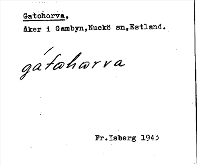 Bild på arkivkortet för arkivposten Gatohorva