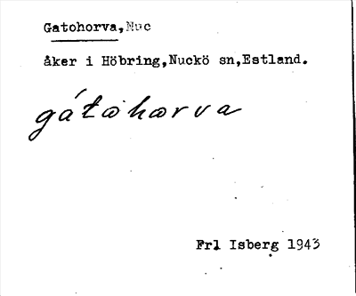 Bild på arkivkortet för arkivposten Gatohorva