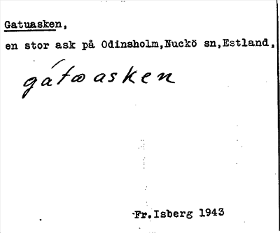 Bild på arkivkortet för arkivposten Gatuasken