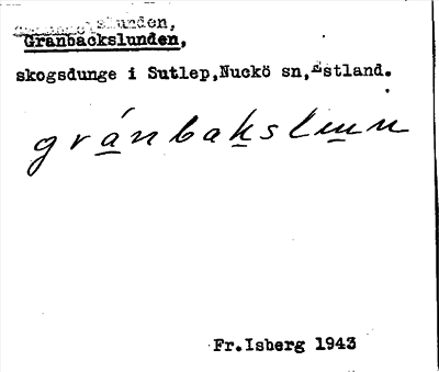 Bild på arkivkortet för arkivposten Granbackslunden