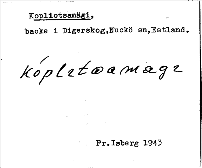 Bild på arkivkortet för arkivposten Kopliotsamägi