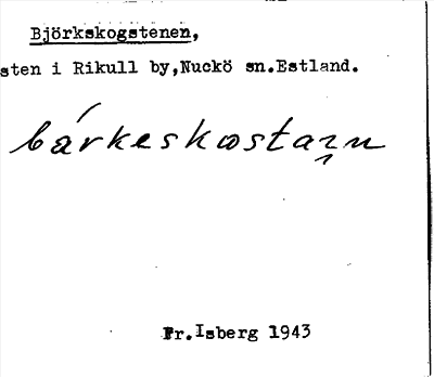 Bild på arkivkortet för arkivposten Björkskogstenen