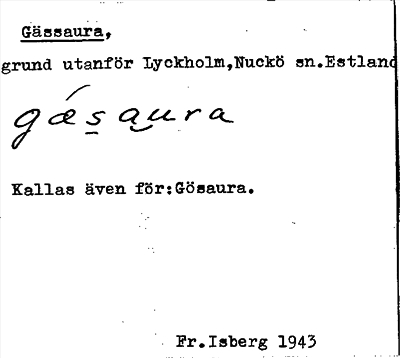 Bild på arkivkortet för arkivposten Gässaura