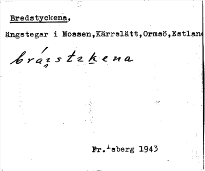 Bild på arkivkortet för arkivposten Brestyckena