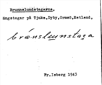Bild på arkivkortet för arkivposten Brunnslundstegarna