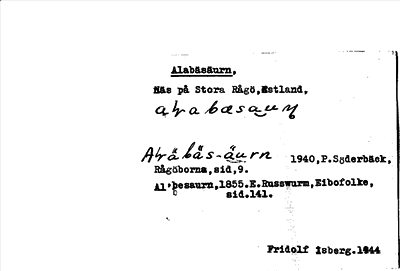 Bild på arkivkortet för arkivposten Alabäsaurn