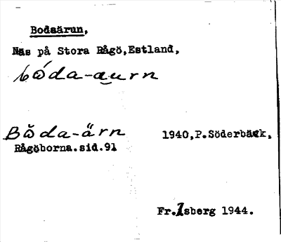 Bild på arkivkortet för arkivposten Bodaärun