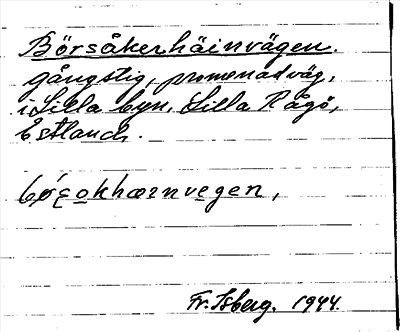 Bild på arkivkortet för arkivposten Börsåkerhäinvägen