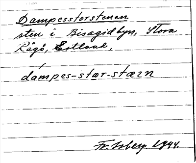 Bild på arkivkortet för arkivposten Dampesstorstenen