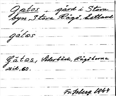 Bild på arkivkortet för arkivposten Gatos