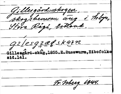 Bild på arkivkortet för arkivposten Gillesgärdskogen