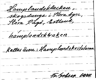 Bild på arkivkortet för arkivposten Hamplandsklacken