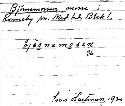 Bild på arkivkortet för arkivposten Björnamossen