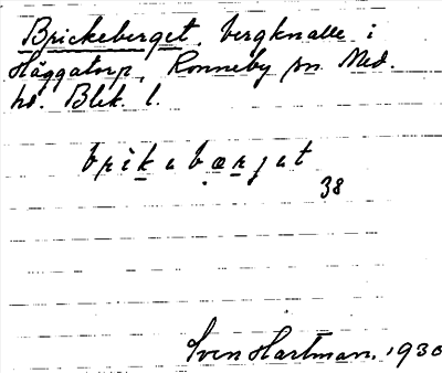 Bild på arkivkortet för arkivposten Brickeberget