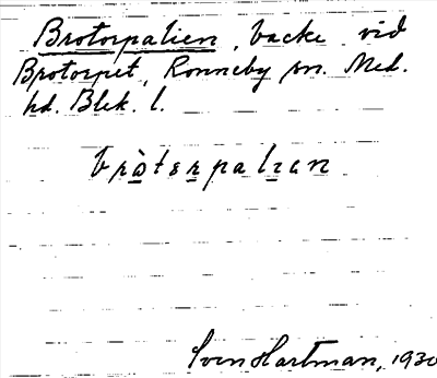 Bild på arkivkortet för arkivposten Brotorpalien