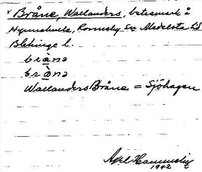 Bild på arkivkortet för arkivposten Bråne, Wallanders
