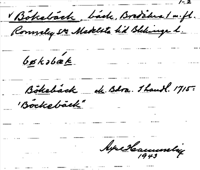 Bild på arkivkortet för arkivposten Bökebäck