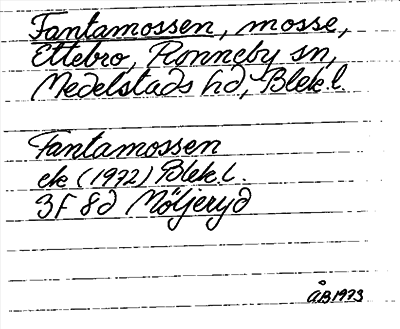 Bild på arkivkortet för arkivposten Fantamossen