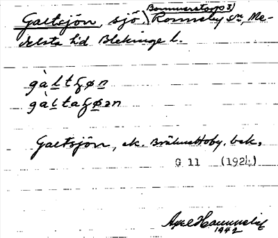Bild på arkivkortet för arkivposten Galtsjön