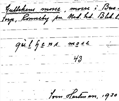 Bild på arkivkortet för arkivposten Gullskens mosse