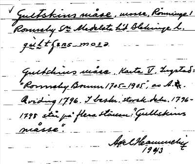 Bild på arkivkortet för arkivposten Gultskinsmåse