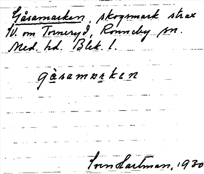 Bild på arkivkortet för arkivposten Gåsamarken