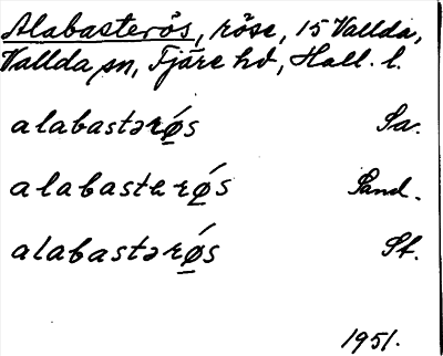 Bild på arkivkortet för arkivposten Alabasterös