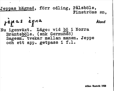 Bild på arkivkortet för arkivposten Jeppas hägnad