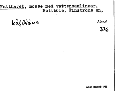 Bild på arkivkortet för arkivposten Katthavet